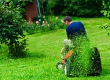 Kwikfynd Lawn Mowing
chinchilla